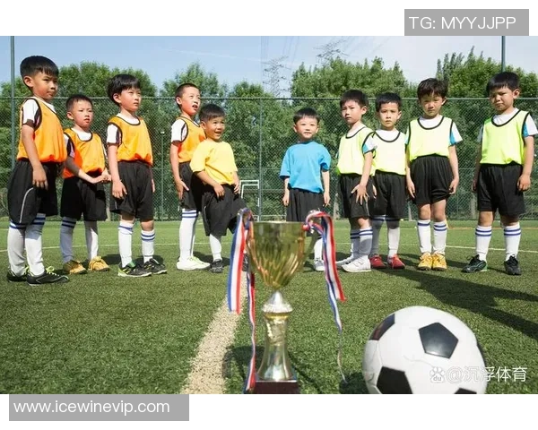 大学生关注足球球星的意义与影响对个人成长和职业发展的启示 大学生关注足球球星的意义与影响对个人成长和职业发展的启示